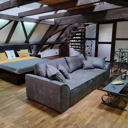 Galerie Vila Lucia #5 - mezotonový apartmán Plzeň Exterior foto