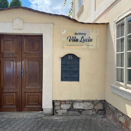 Galerie Vila Lucia #5 - mezotonový apartmán Plzeň Exterior foto