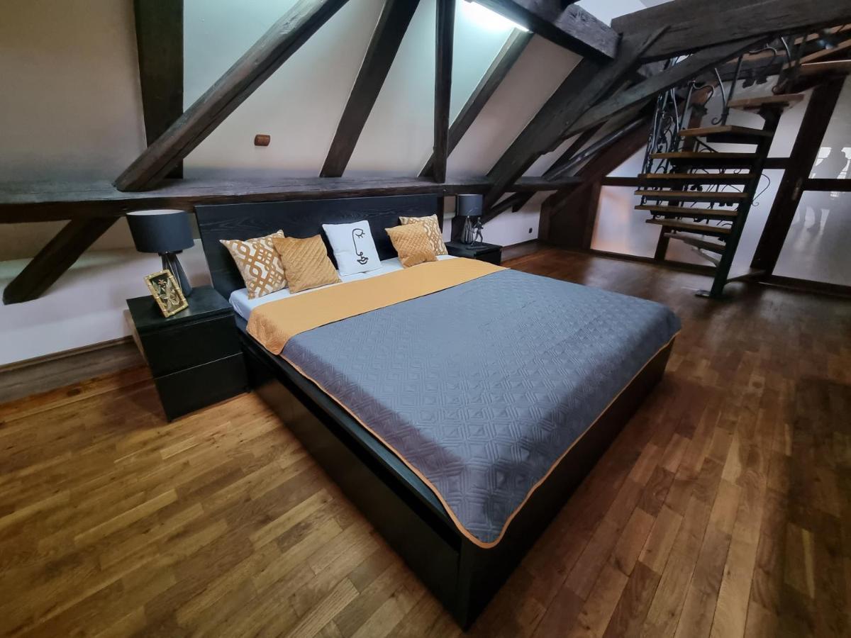 Galerie Vila Lucia #5 - mezotonový apartmán Plzeň Exterior foto