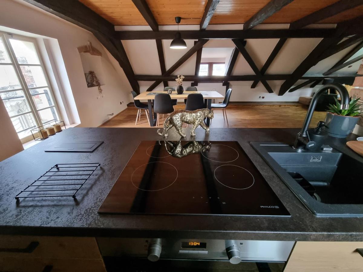 Galerie Vila Lucia #5 - mezotonový apartmán Plzeň Exterior foto