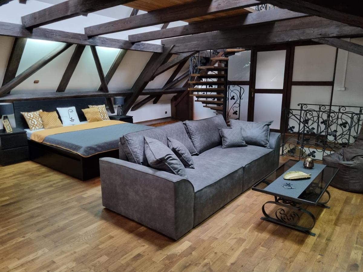 Galerie Vila Lucia #5 - mezotonový apartmán Plzeň Exterior foto