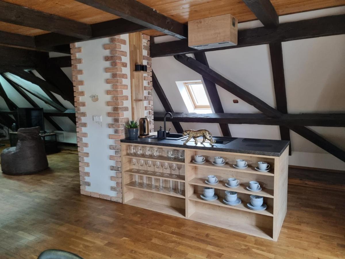 Galerie Vila Lucia #5 - mezotonový apartmán Plzeň Exterior foto