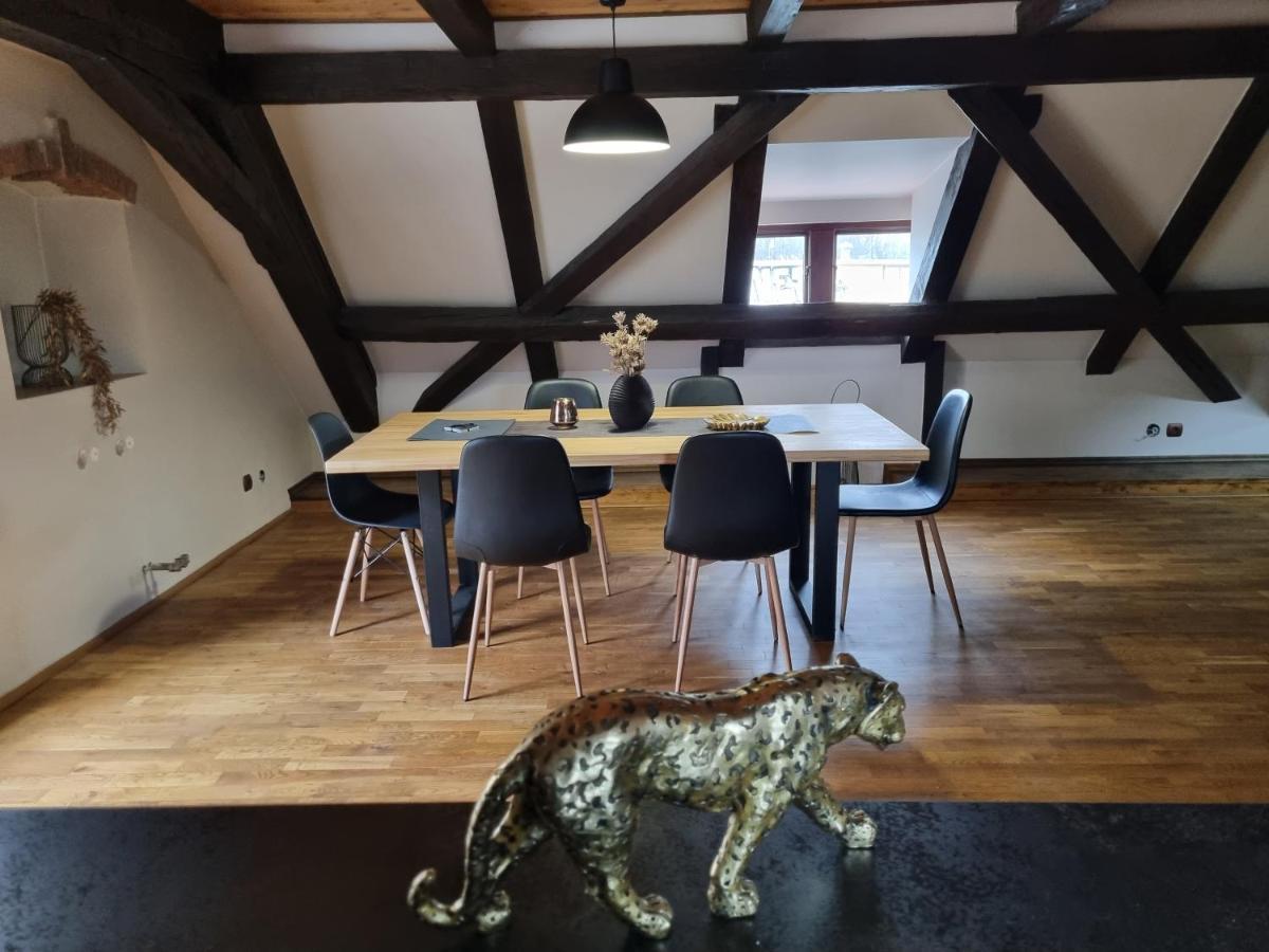 Galerie Vila Lucia #5 - mezotonový apartmán Plzeň Exterior foto