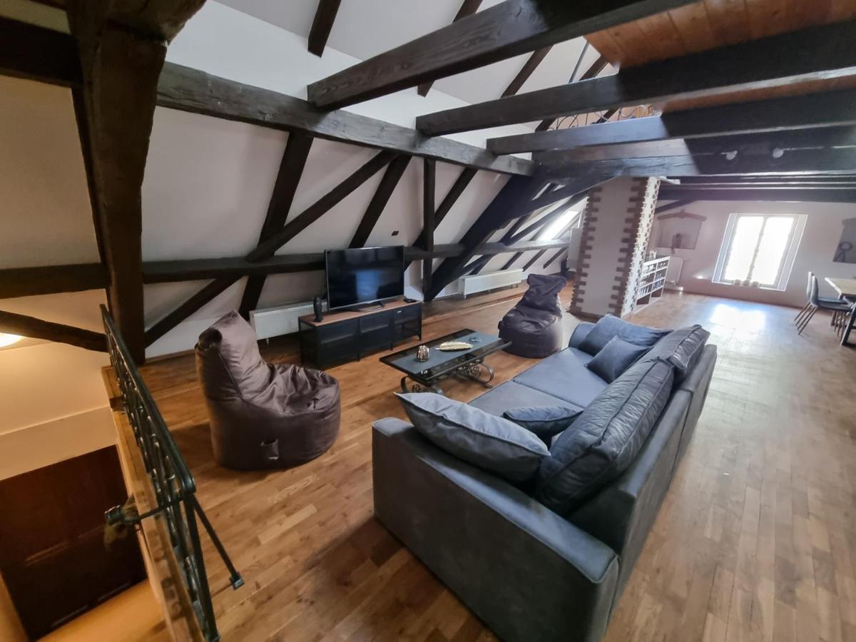 Galerie Vila Lucia #5 - mezotonový apartmán Plzeň Exterior foto
