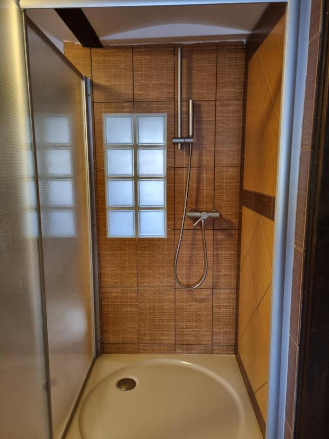 Galerie Vila Lucia #5 - mezotonový apartmán Plzeň Exterior foto