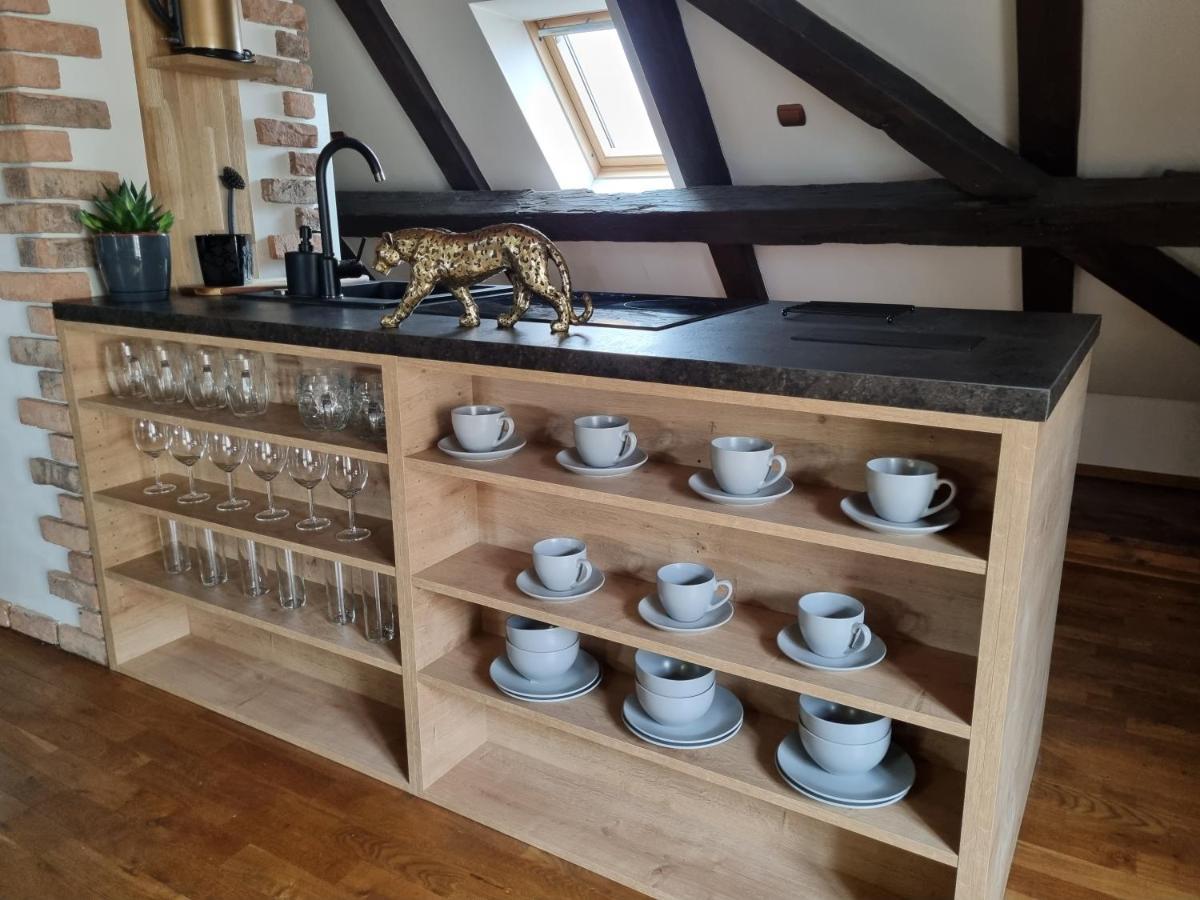 Galerie Vila Lucia #5 - mezotonový apartmán Plzeň Exterior foto