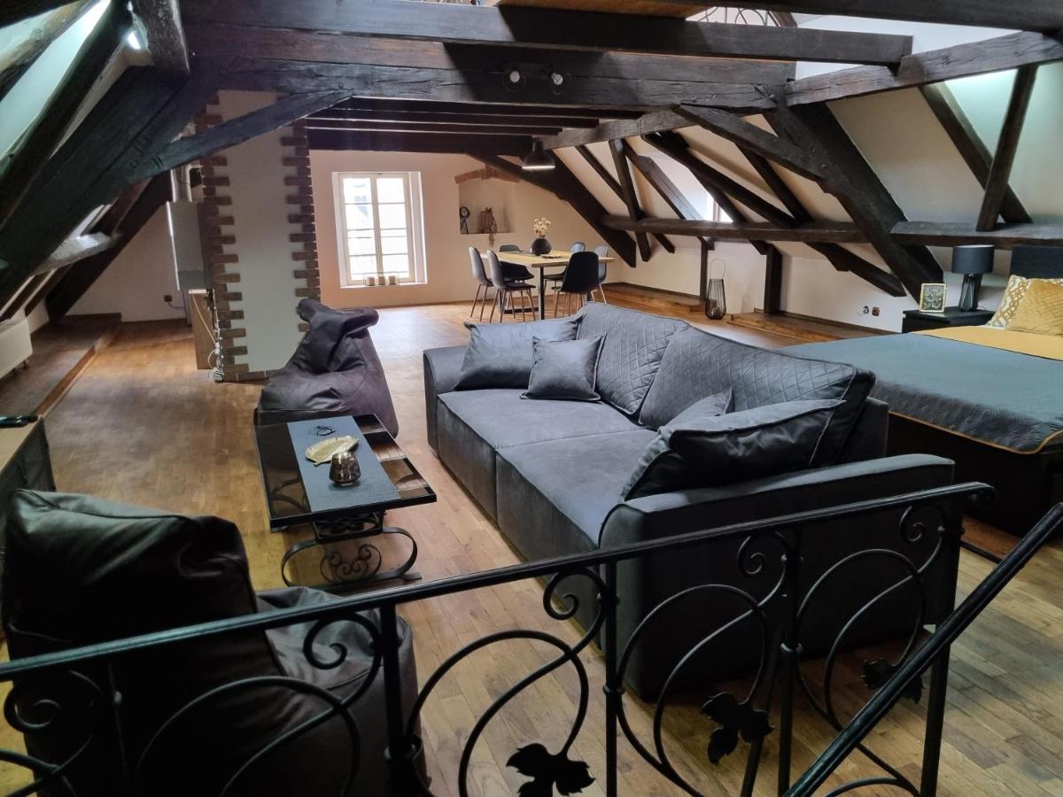 Galerie Vila Lucia #5 - mezotonový apartmán Plzeň Exterior foto