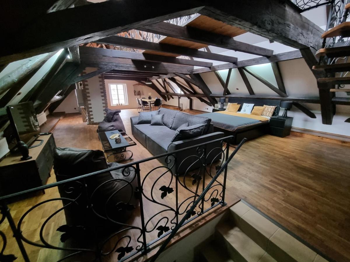 Galerie Vila Lucia #5 - mezotonový apartmán Plzeň Exterior foto