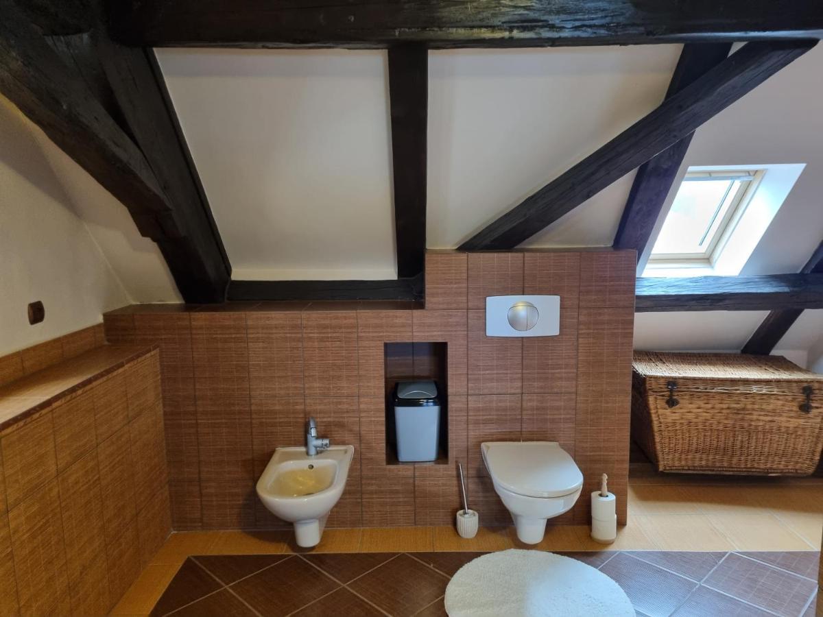 Galerie Vila Lucia #5 - mezotonový apartmán Plzeň Exterior foto